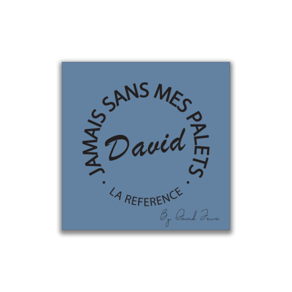 La chiffonnette bleue DAVID Jeux - Jamais sans mes Palets DAVID