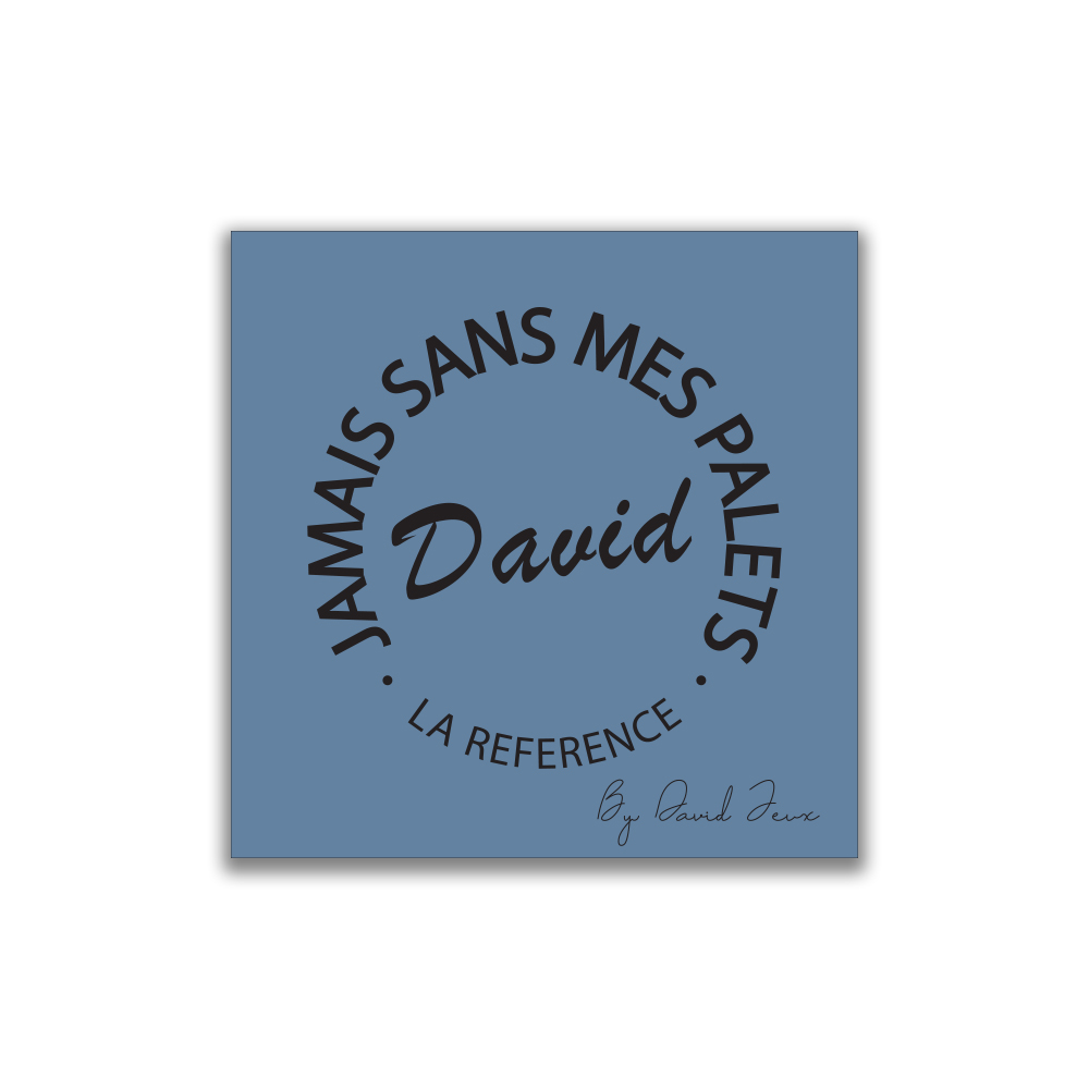 La chiffonnette bleue DAVID Jeux - Jamais sans mes Palets DAVID