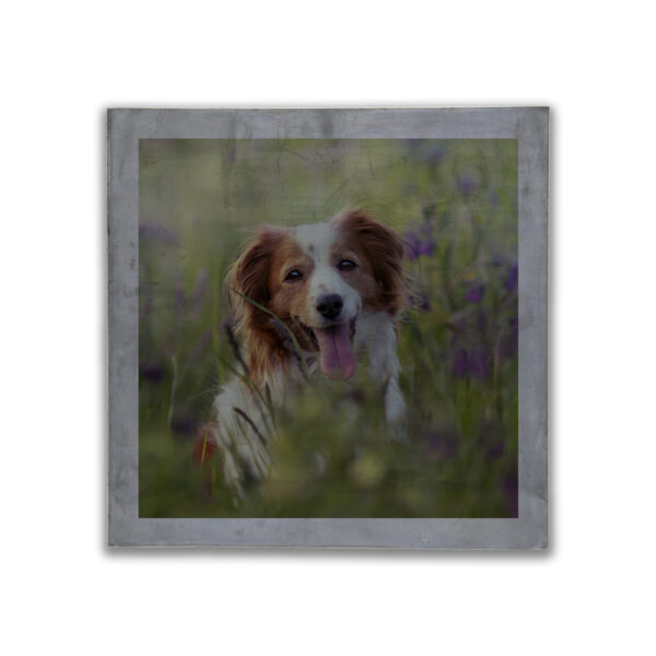 Plaque plomb "La concours" 450 x 450 x 7 mm personnalisable – Image 4